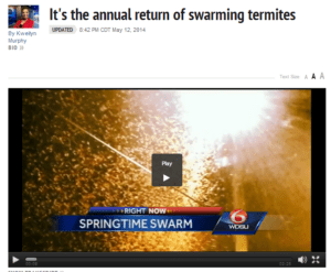 its the annual return of swarming termites