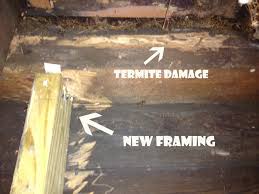 termite damage