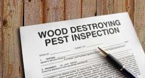 termite inspection oakland ca