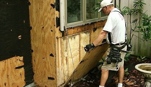 termite repairs
