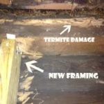 termite damage repair