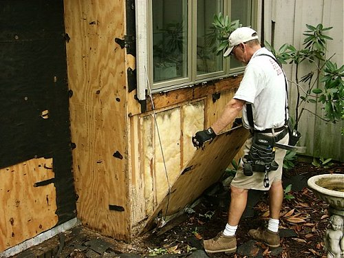 termite repairs