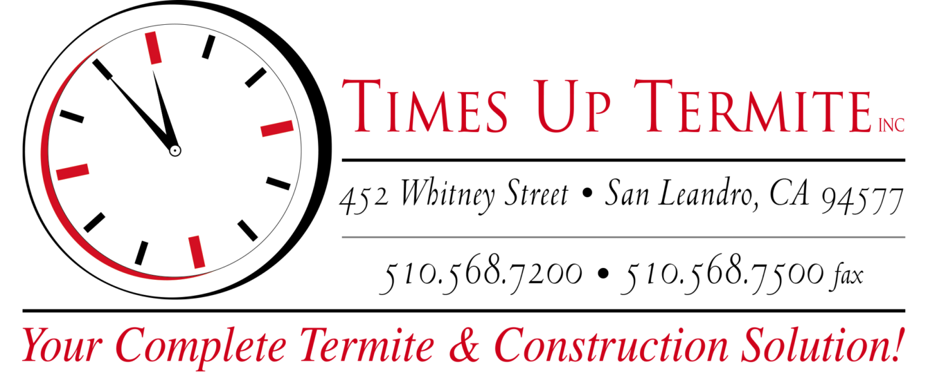 Times Up Termite